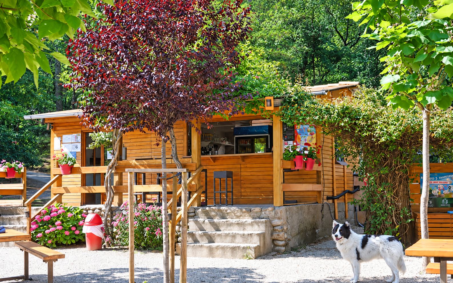 Un petit bâtiment en bois avec terrasse et jardinières fleuries, entouré d'arbres, devant lequel un chien noir et blanc se tient sur le gravier.