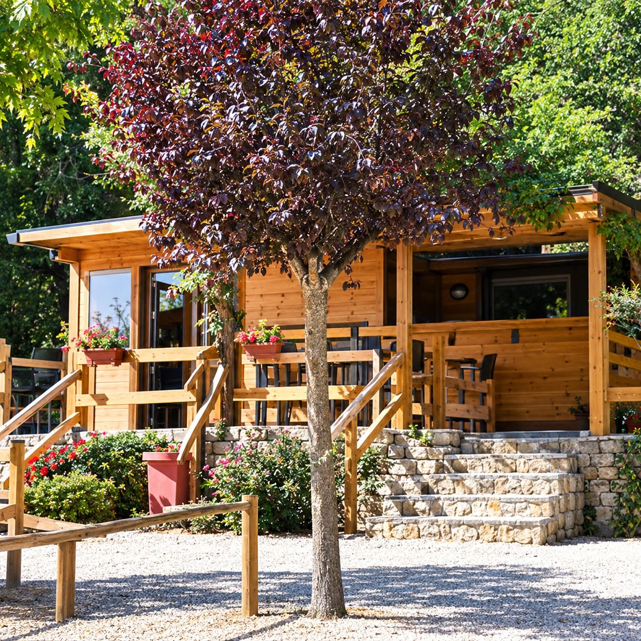 Une terrasse en bois avec une structure à poteaux, ombragée par un grand arbre au feuillage pourpre, entourée de verdure.